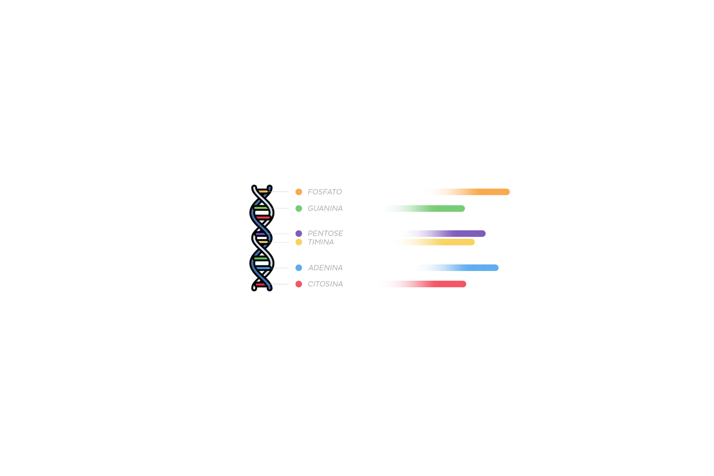 Image module